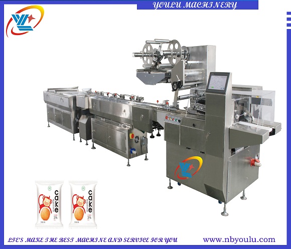 YLP-1000 Automatic Feeding Packing Line